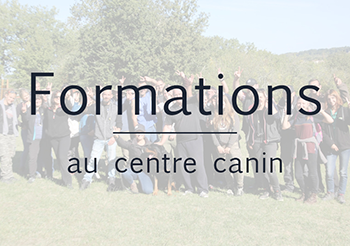 Formations au centre canin