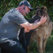 Formation Educateur canin technicien spécialisé