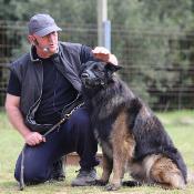 Formation chiens difficiles
