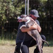 Formation Educateur canin technicien spécialisé